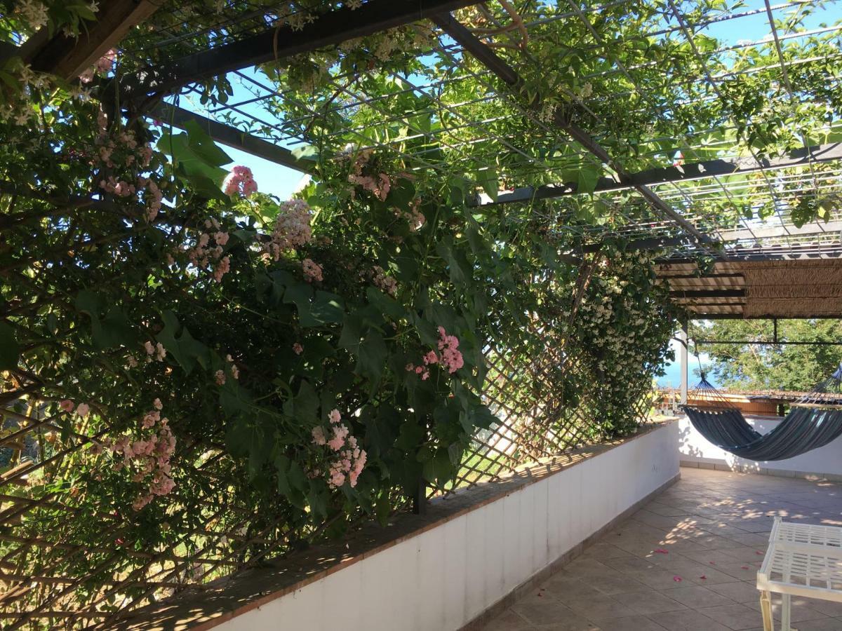 B&B Eden Frait Anacapri  Exterior foto